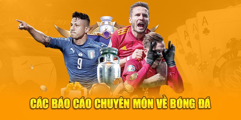 Các báo cáo chuyên môn về bóng đá